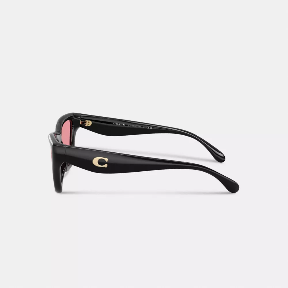 C Hardware Cat Eye Sunglasses - Image 3