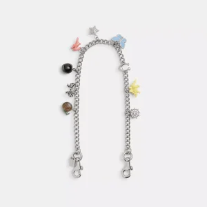 Chain StrapWith Charms