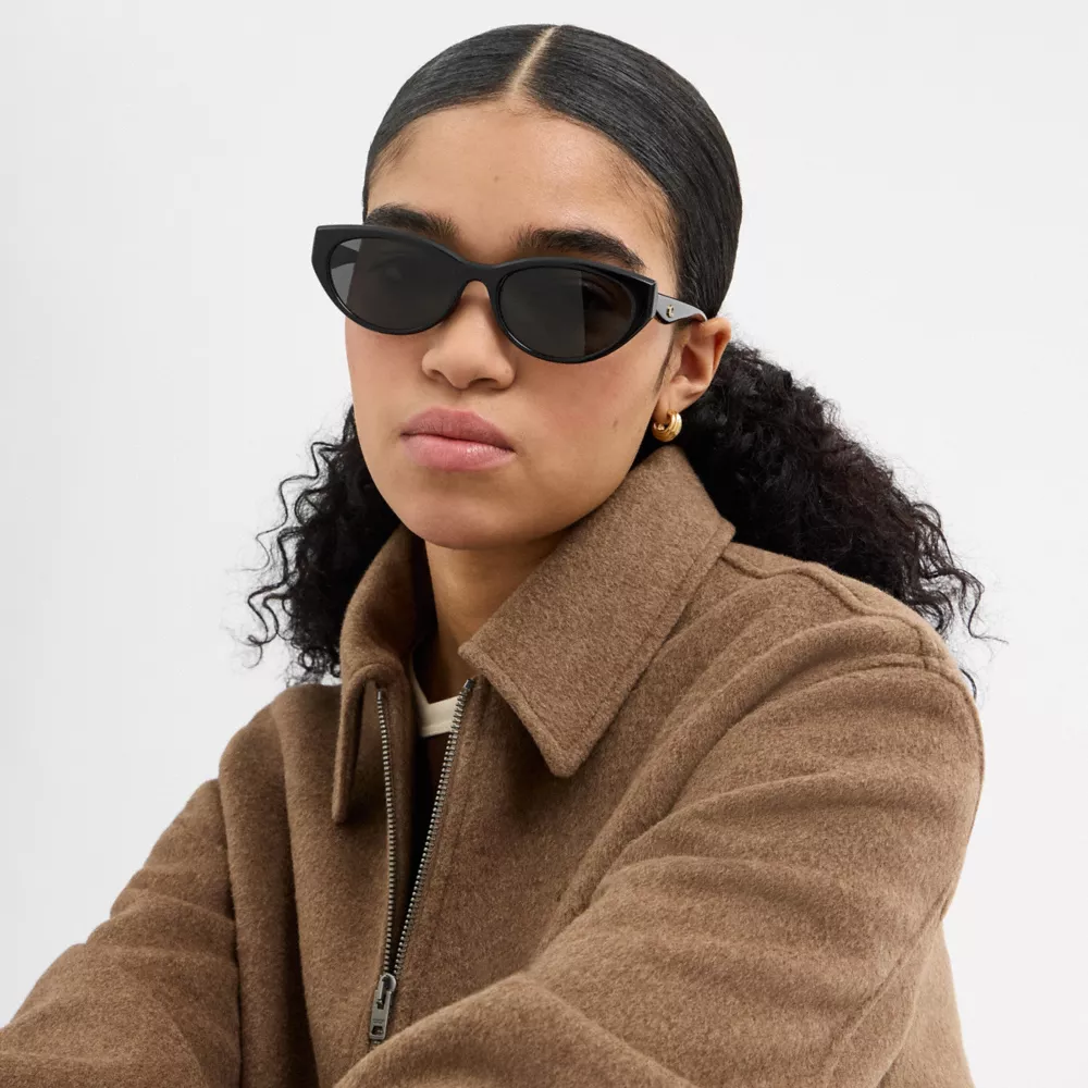C Hardware Oval Cat Eye Sunglasses - Image 4