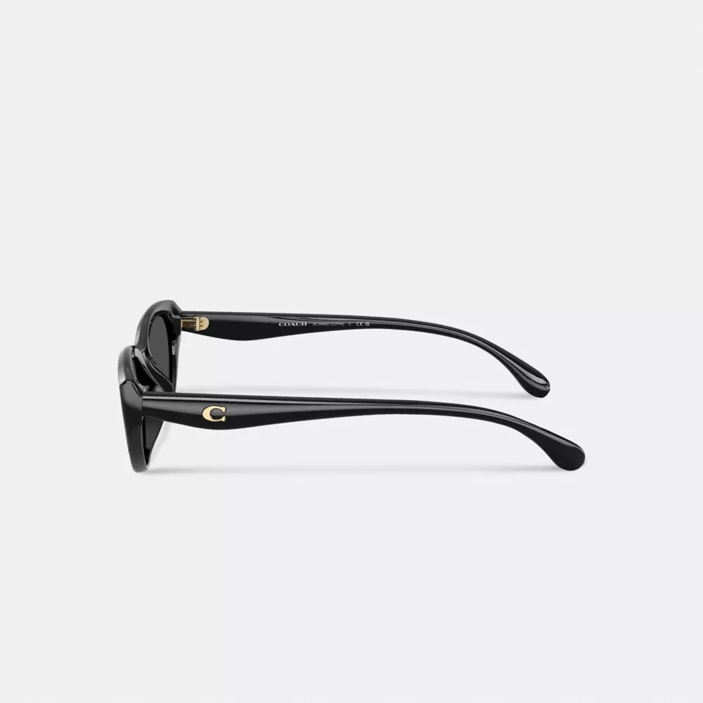 C Hardware Oval Cat Eye Sunglasses - Image 3