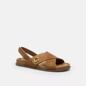 Sculpted C Criss Cross Sandal
