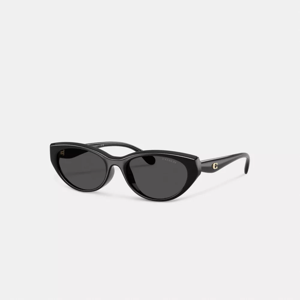 C Hardware Oval Cat Eye Sunglasses