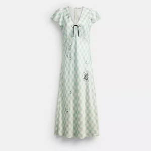Coach | Brain Dead Embroidered Gingham Dress