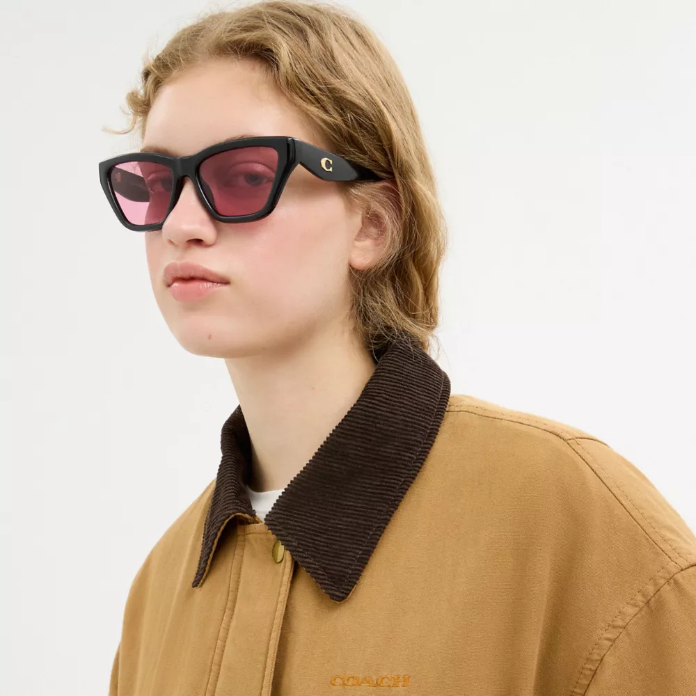 C Hardware Cat Eye Sunglasses - Image 4